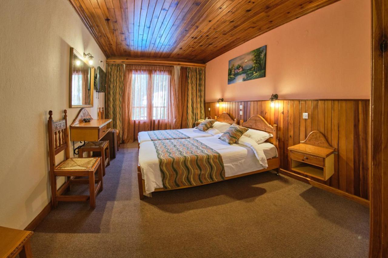 Hotel Victoria Metsovo Exteriör bild