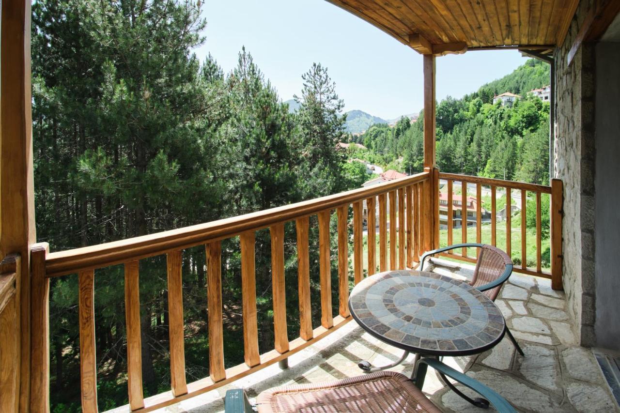 Hotel Victoria Metsovo Exteriör bild